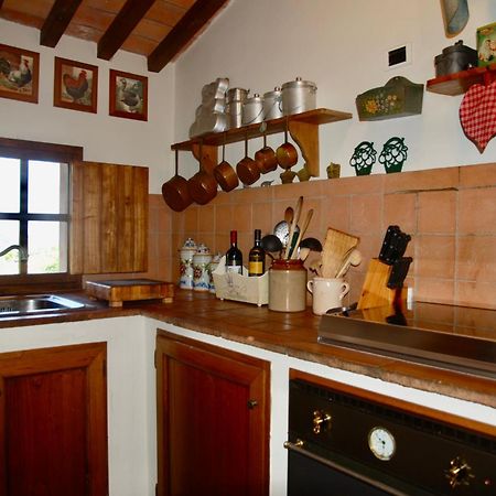 Appartamento Con Patio Privato E Giardino Tra Pisa E Firenze Palaia Exterior foto