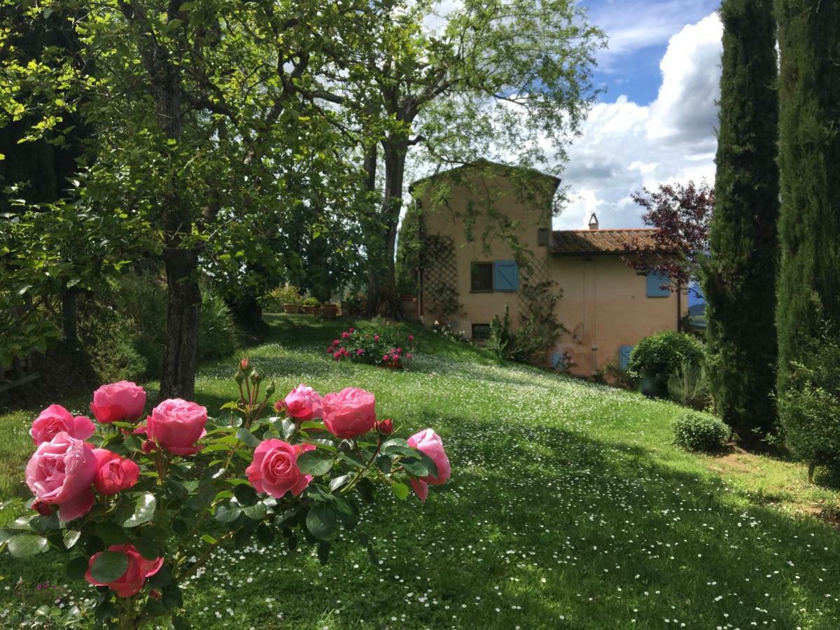 Appartamento Con Patio Privato E Giardino Tra Pisa E Firenze Palaia Exterior foto